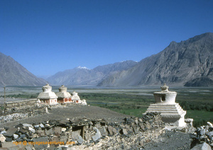 Vallée de la Nubra (Ladakh)