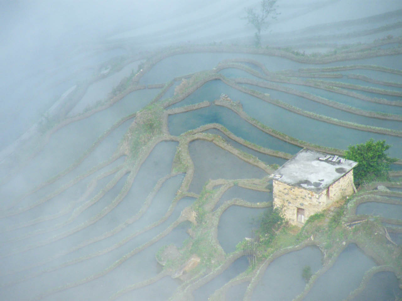 Yuanyang-06.jpg