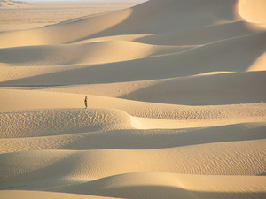 <strong>Lire la suite</strong><br>Désert de rêve Désert de rêve