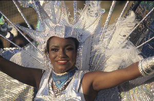 <strong>Lire la suite</strong><br>Les carnavals de Saint Martin Les carnavals de Saint Martin