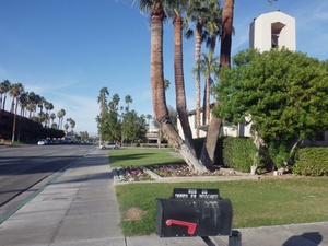 <strong>Lire la suite</strong><br>Palm Spring (Californie) Palm Spring (Californie)