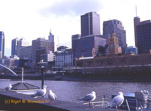 <strong>Lire la suite</strong><br>Melbourne Melbourne
