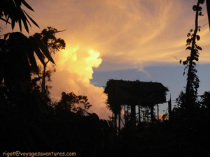 <strong>Lire la suite</strong><br>Expédition chez les Korowai Expédition chez les Korowai