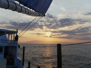 <strong>Lire la suite</strong><br>Les petites îles de la sonde -2011 Les petites îles de la sonde -2011