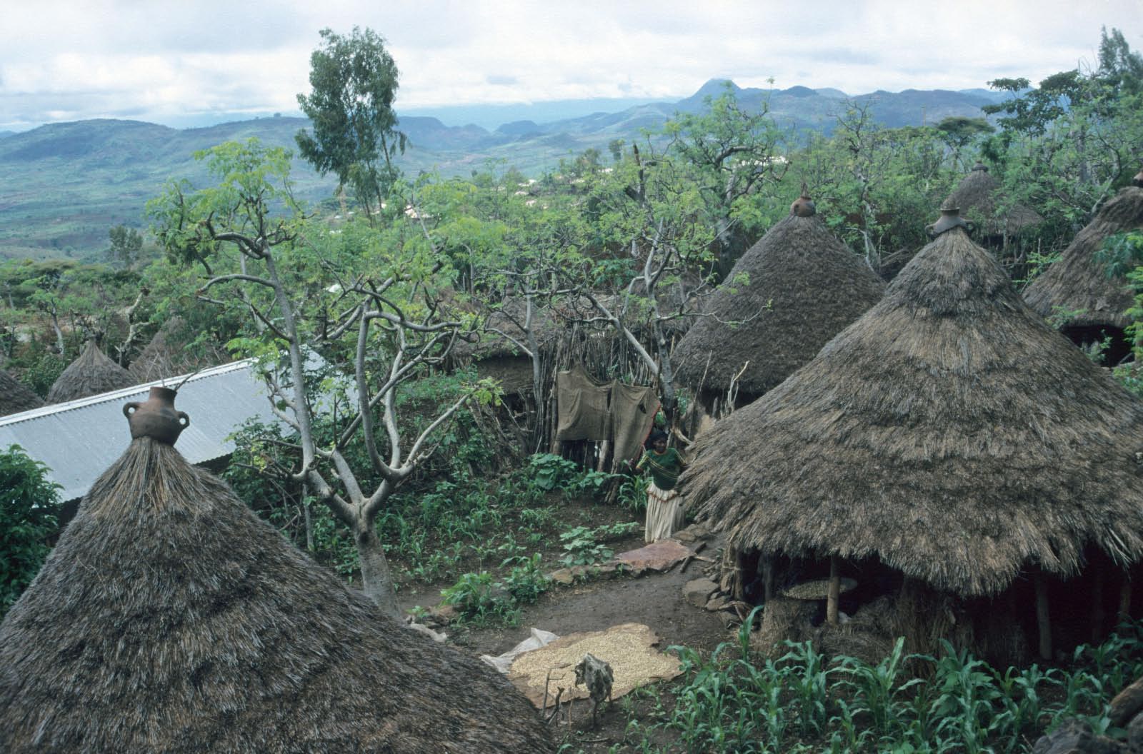 Pays des Konso