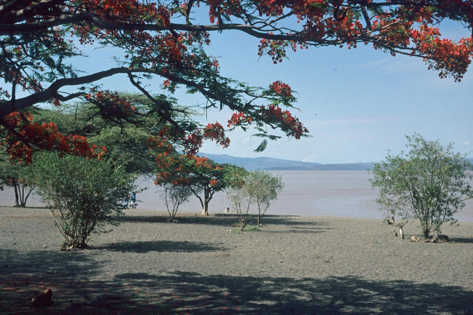 ethiopie lac 