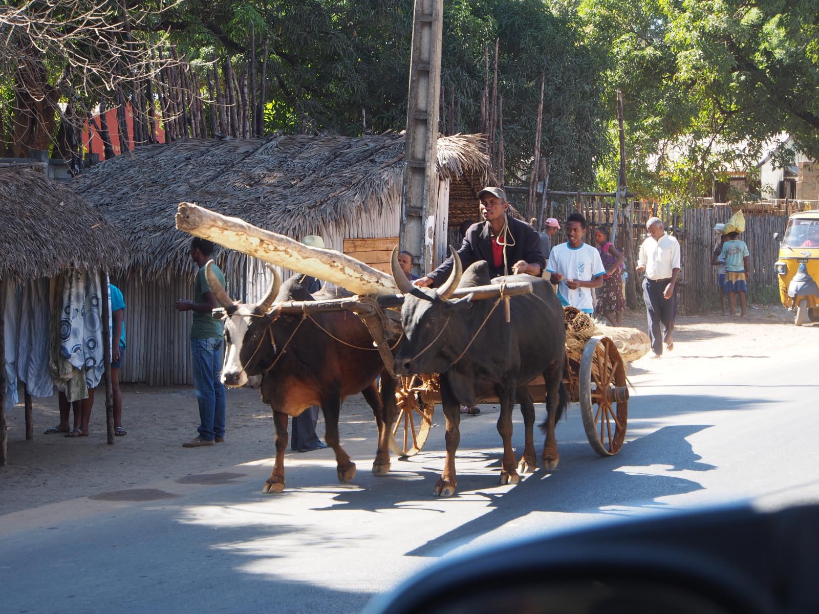 transport traditionnel