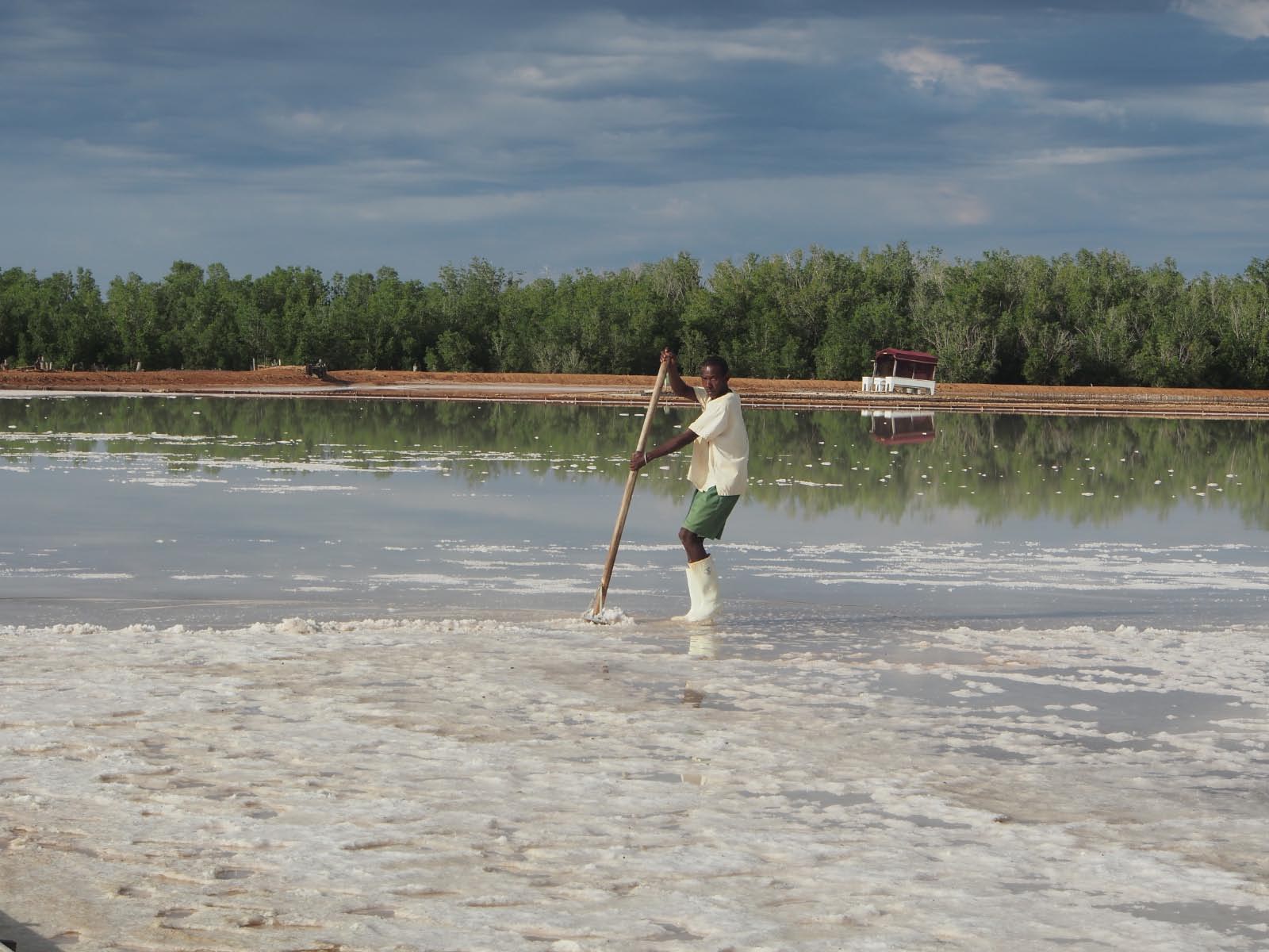 salines