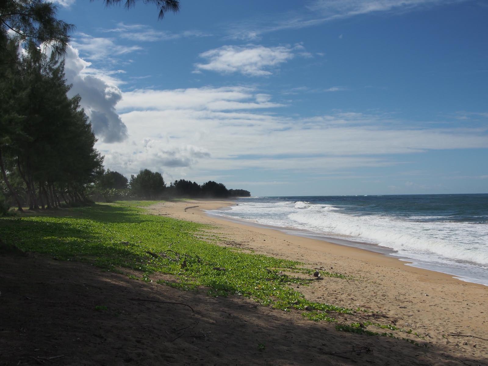 plage de l'ocean indien