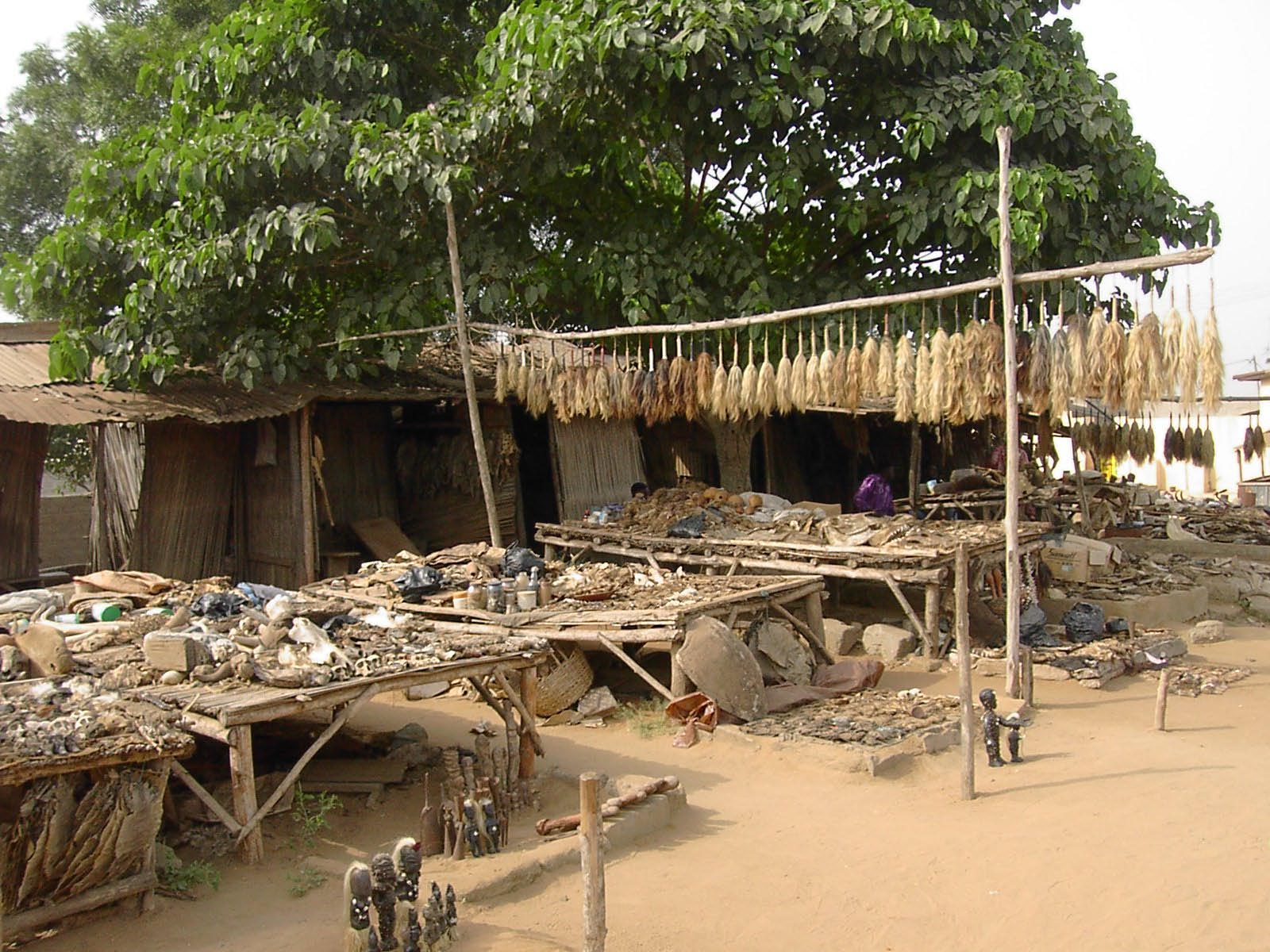 Togo - marché des fétiches