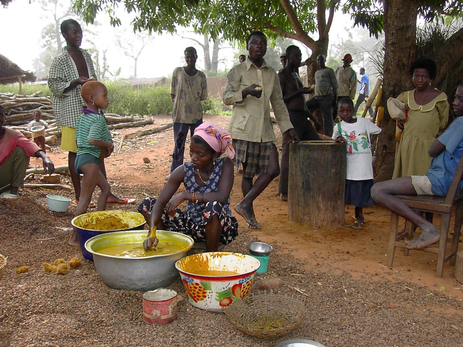 togo - vie villageoise