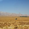 iran-