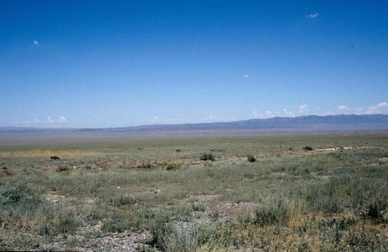 Kazakhstan - steppe