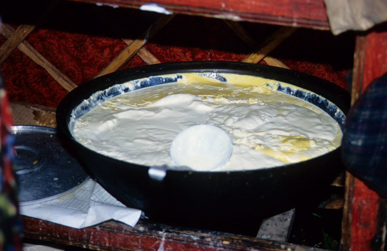 Mongolie- Yaourt traditionnel au lait cru