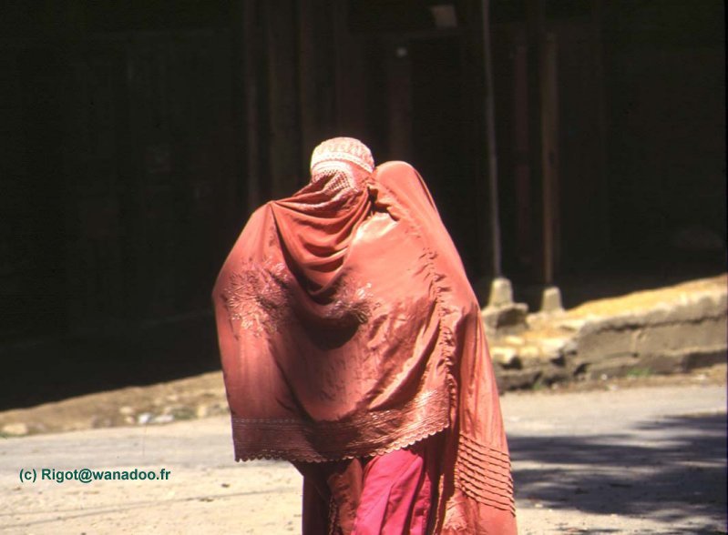 pakistan femme
