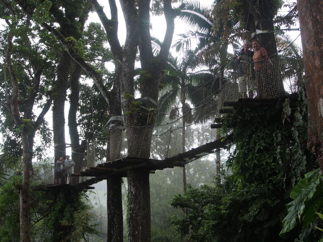 Martinique: jardin de Balata