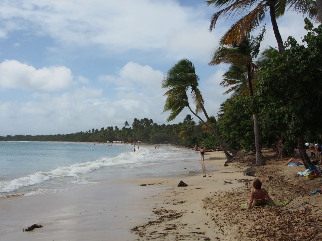 Martinique - plage de Sainte Anne