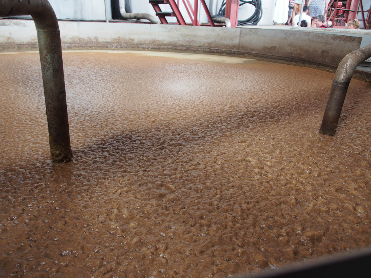 fermentation du Vesou