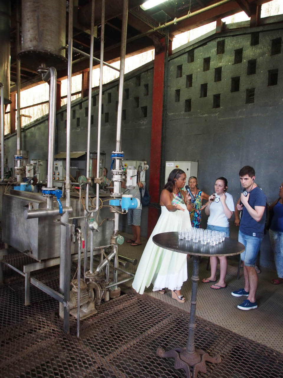 dégustation de rhum blanc brut