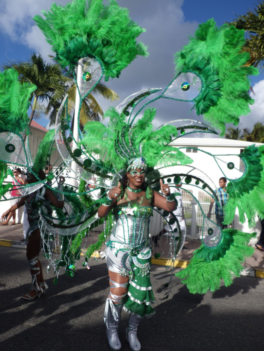 carnaval et plumes