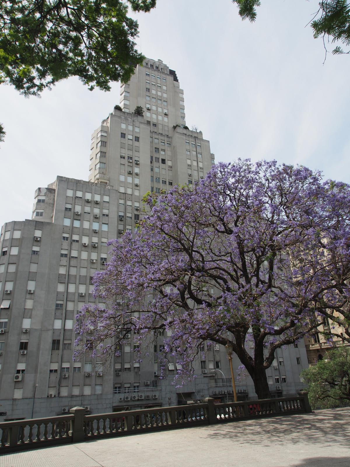 buenos aires 