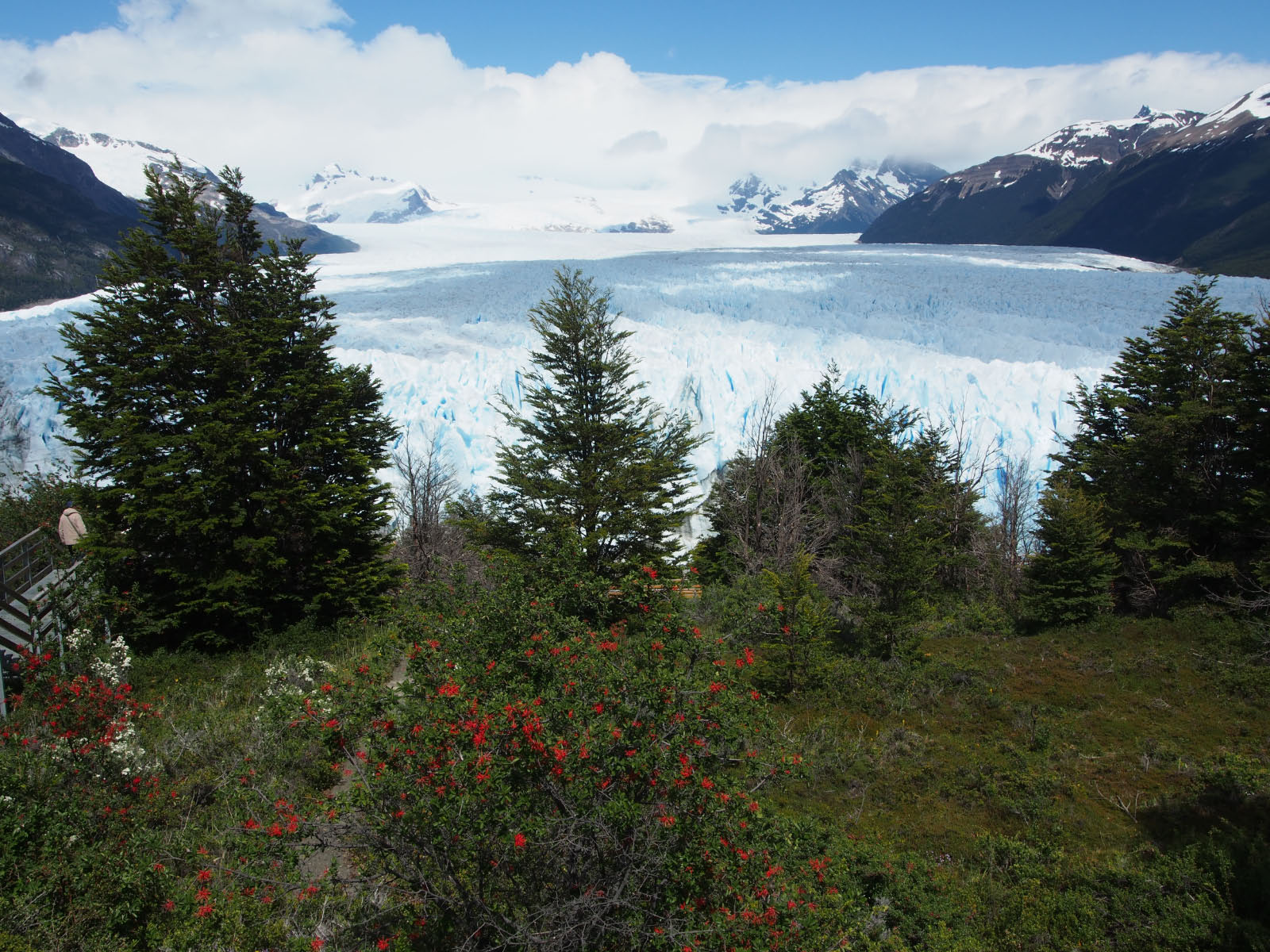 perito moreno 