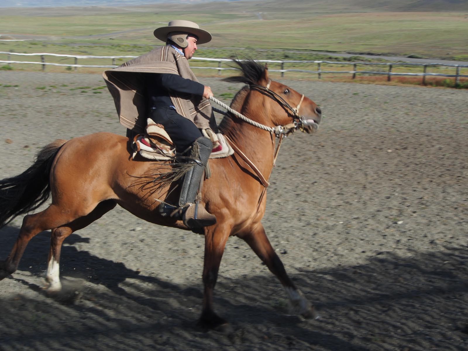 patagonie chilienne - travail de Gaucho