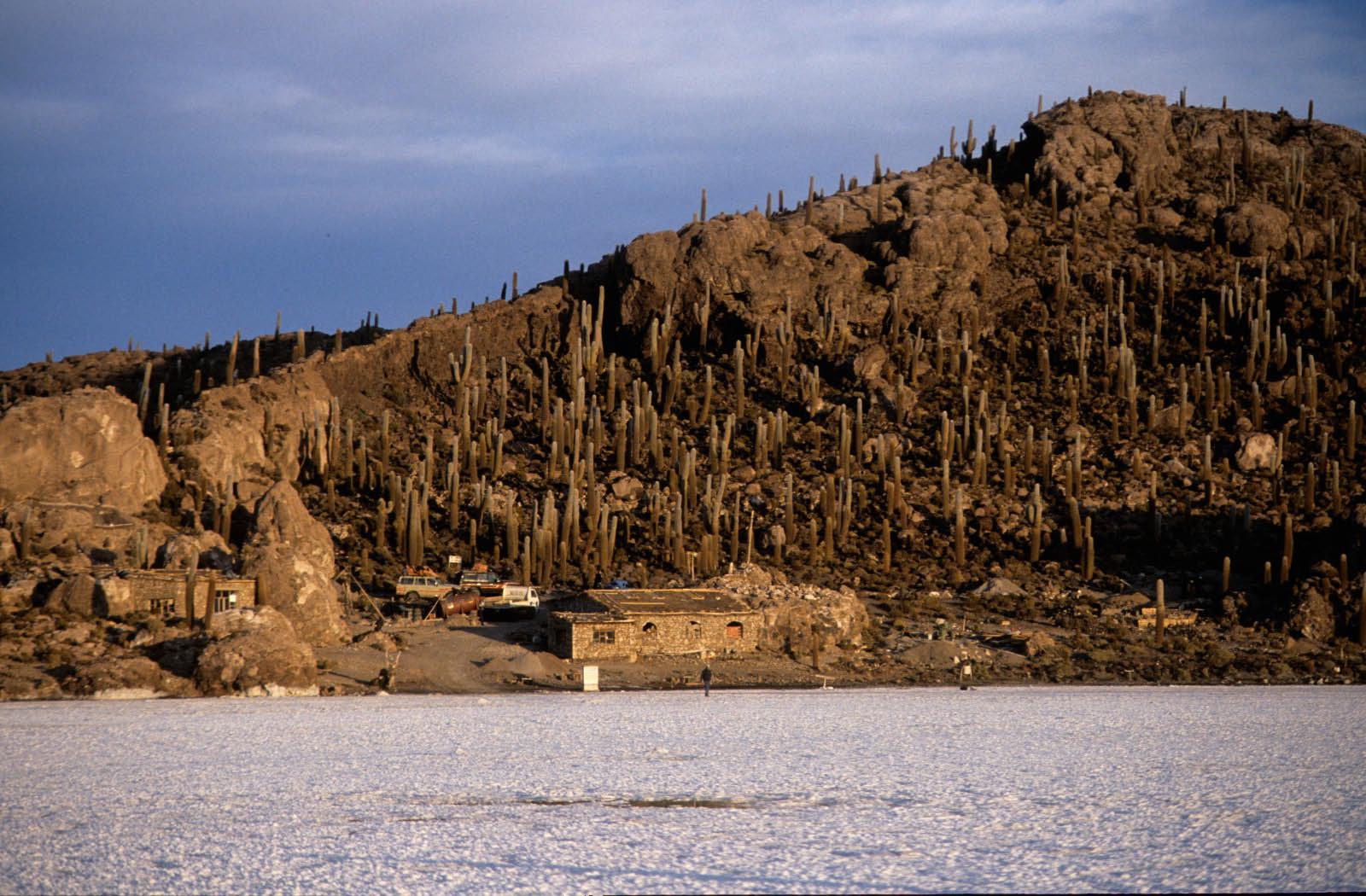 Uyuni - "ile de Incahasi"