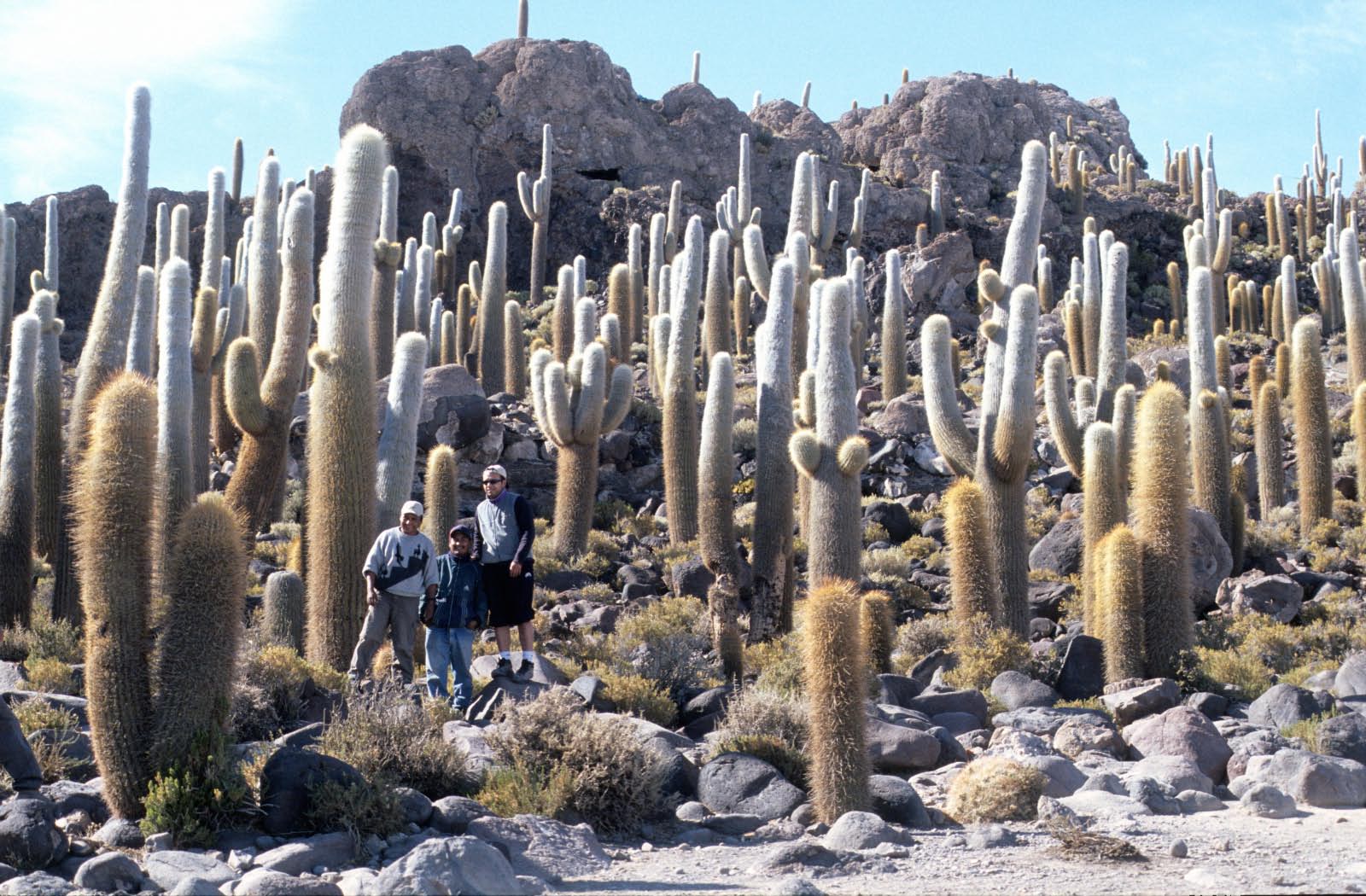 Uyuni- incahuasi