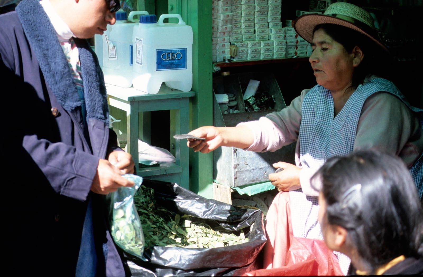 bolivie - achat de feuilles de Coca