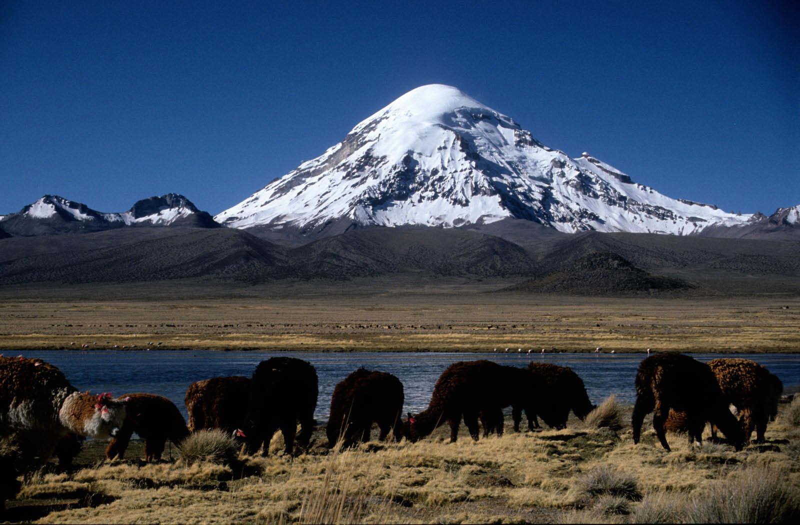 bolivie- sajama