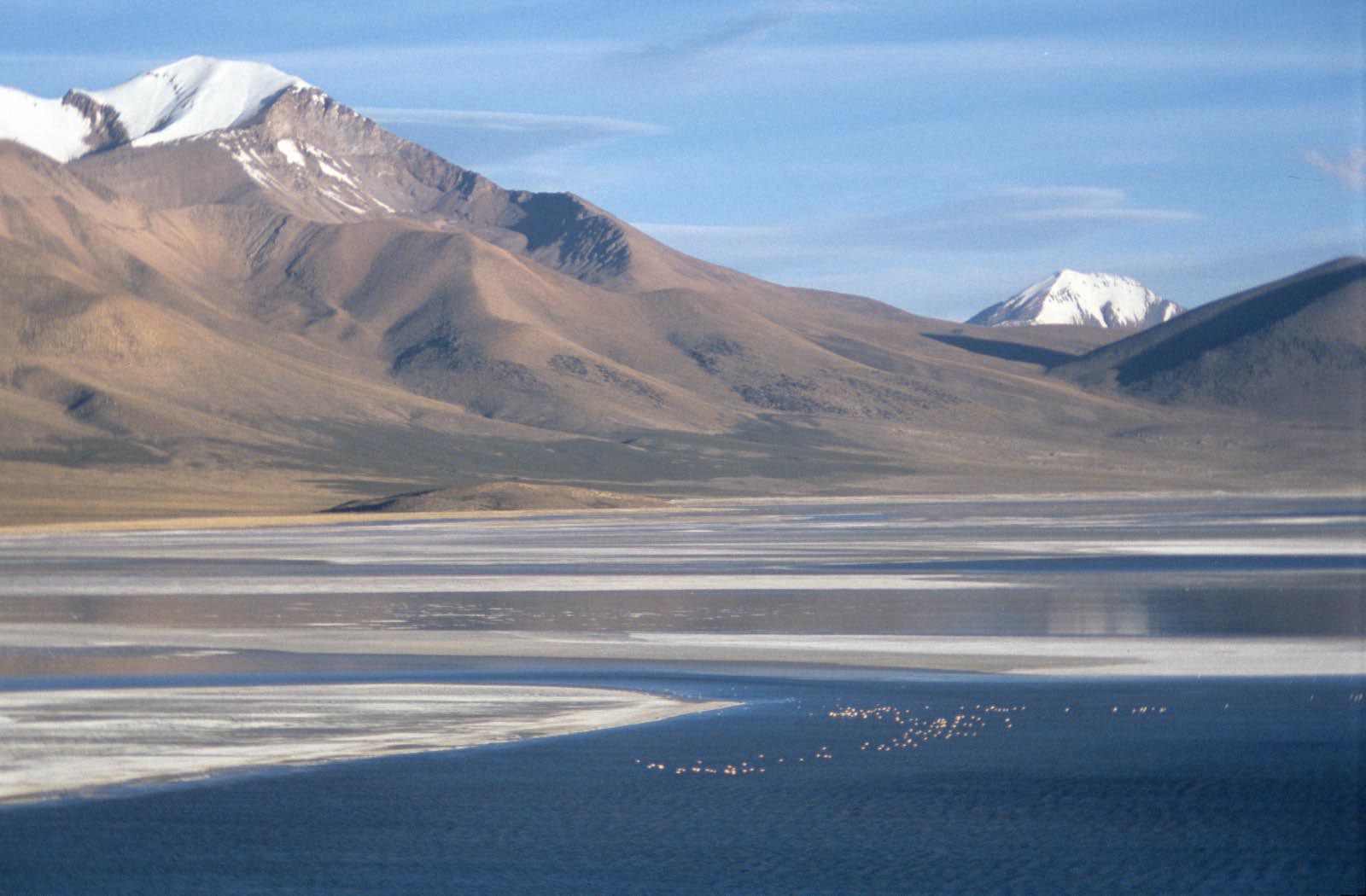 atacama- salar de Surire