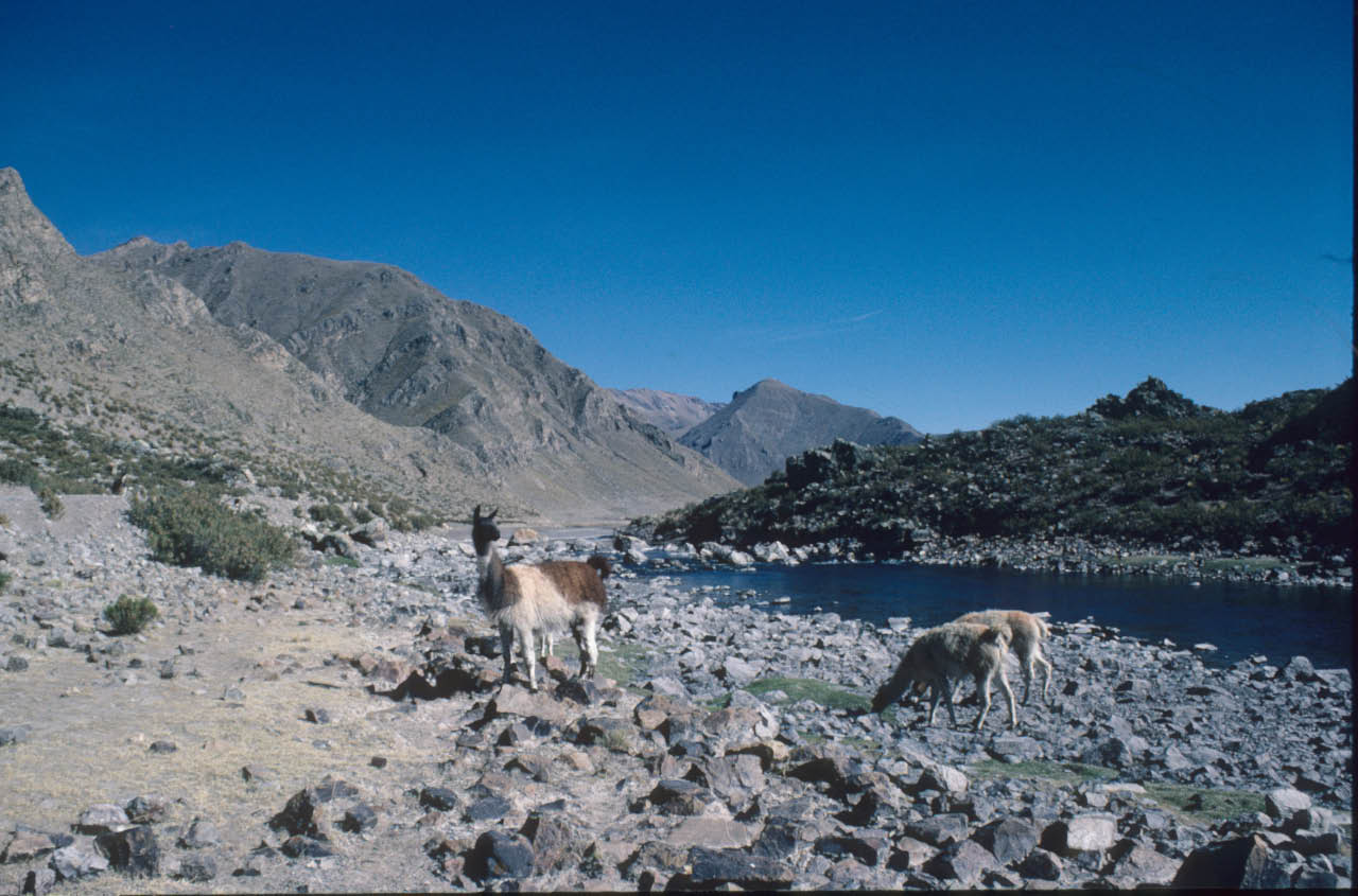 ht plateau andin vers Colca 