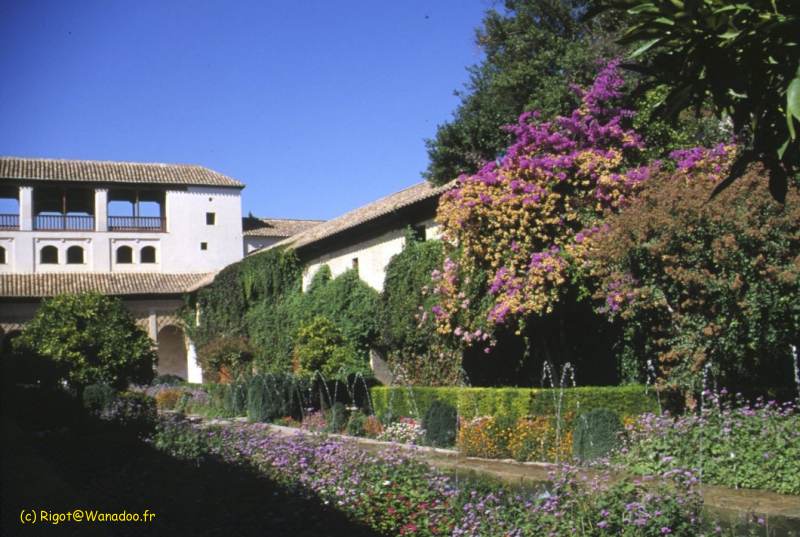Alhambra - jardin du généralife 1