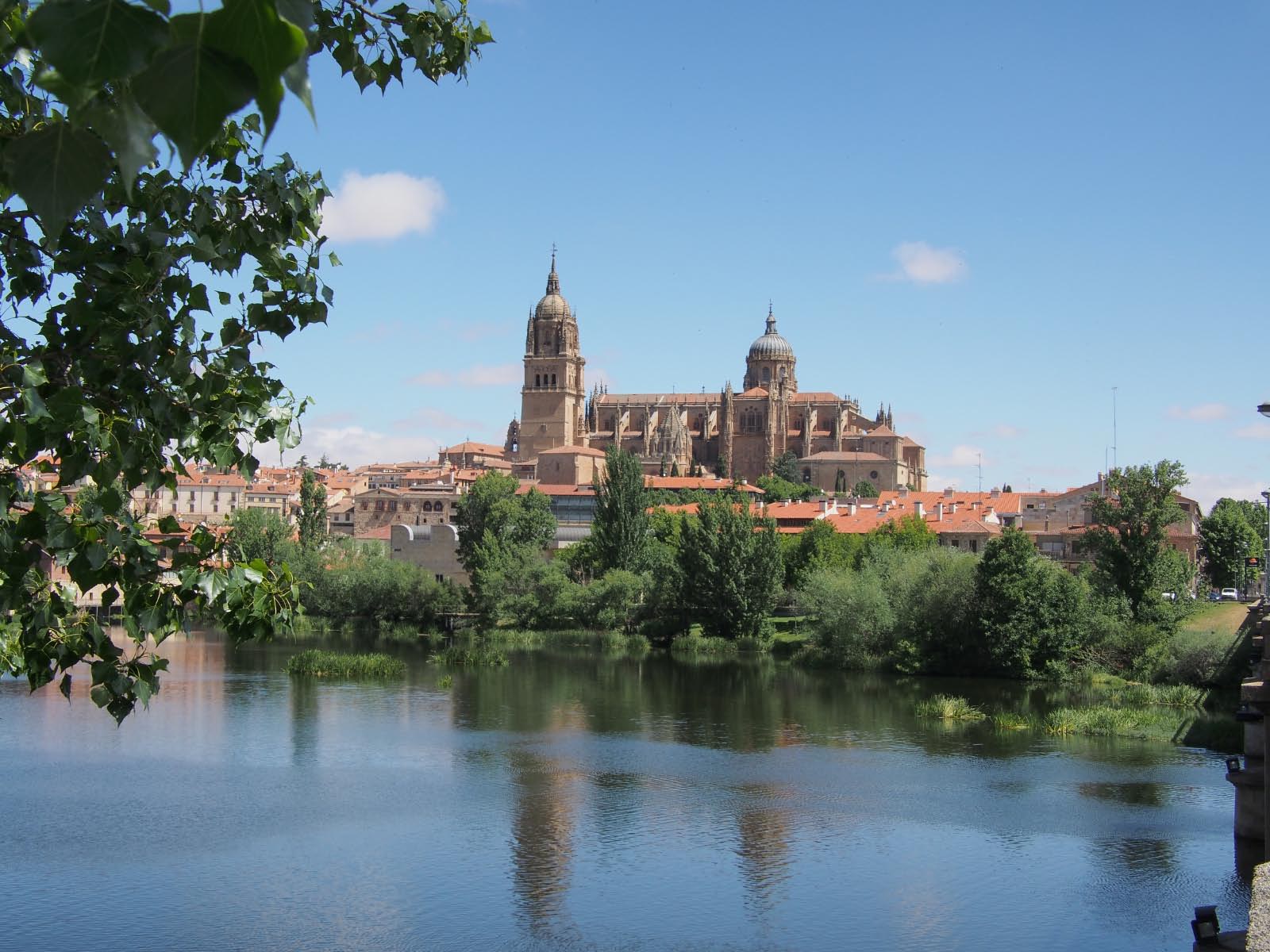 castille salamanque - cathedrale