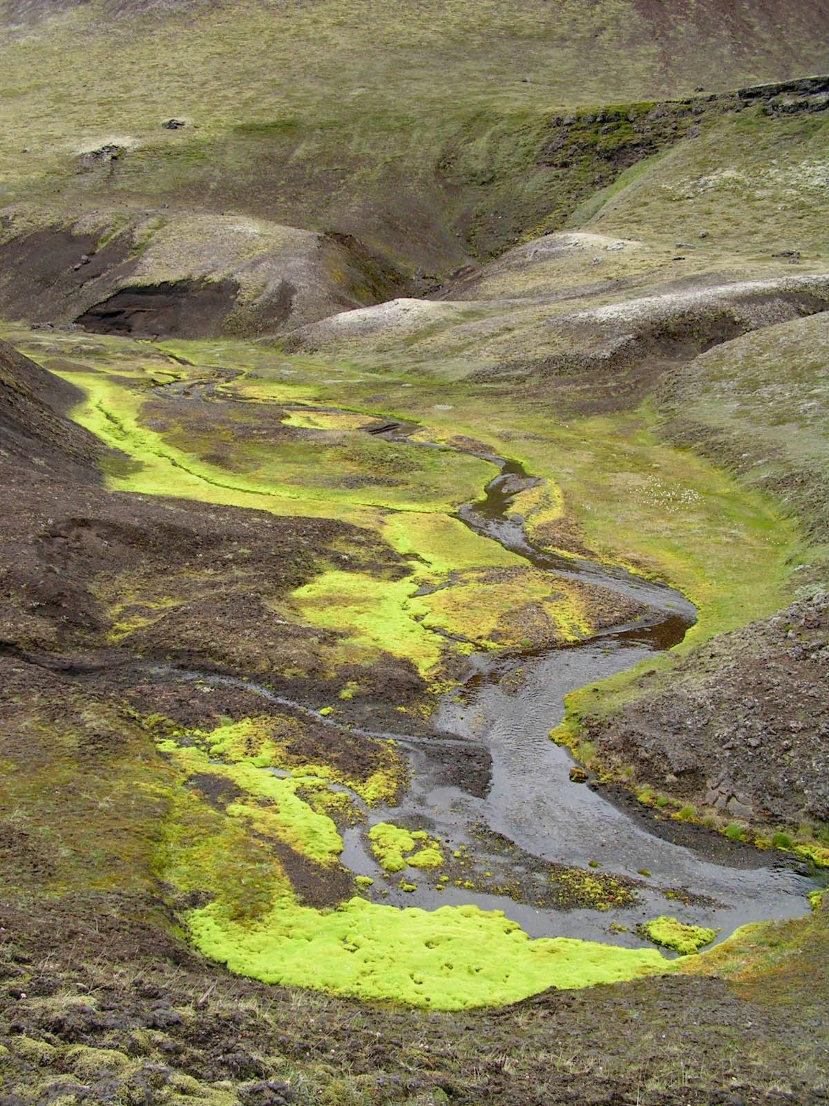 islande 