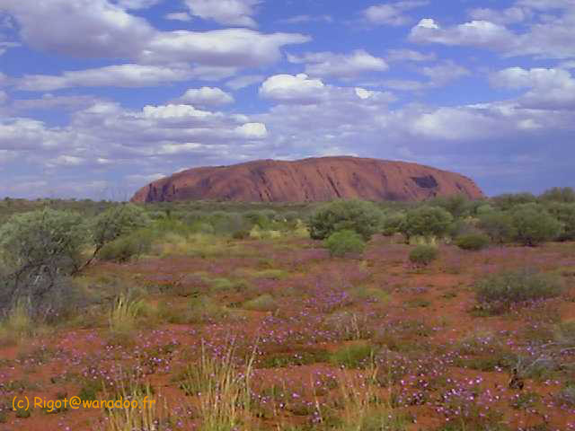 Symbole sacré de l'outback autralien: Uluru (Ayers rock)
