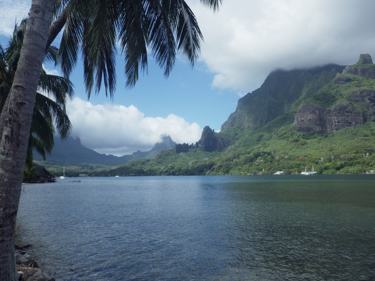 Moorea - baie d'Opunohu