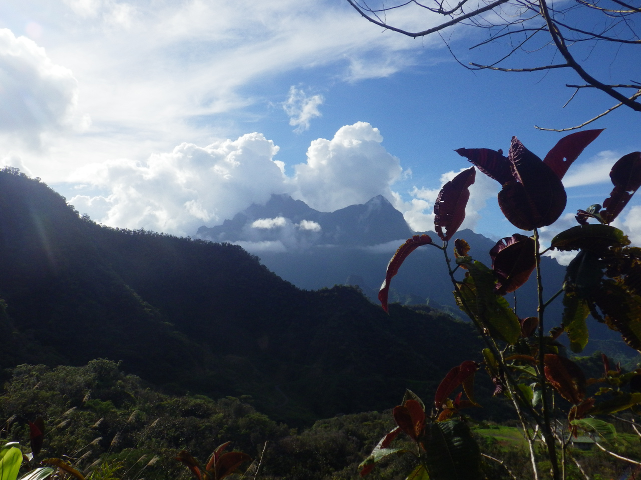 Mt Orohena au centre de Tahiti ( vallée de Papenoo)