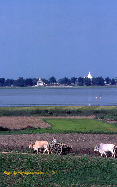 campagne birrnane 