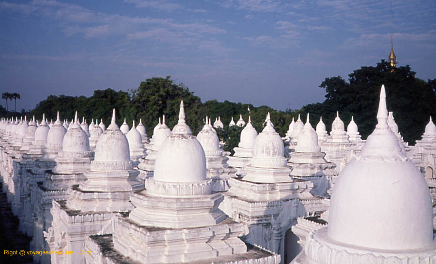 foret de stupa religieux