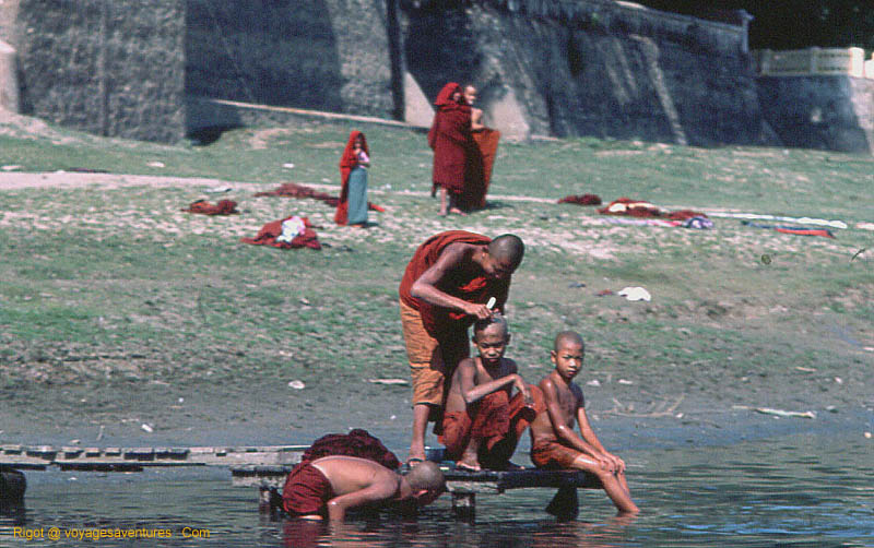 Rasage des moinillons au bord de l'Irawady