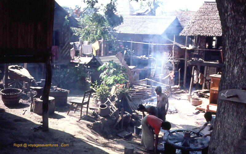 village Birman