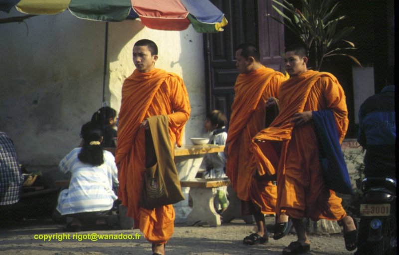 moines bouddhistes au Laos (Lunag Prapang)