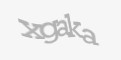 Code de Securité