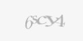 Code de Securité