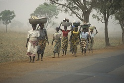<strong>Lire la suite</strong><br>Togo (l'état) Togo (l'état)