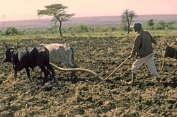 <strong>Lire la suite</strong><br>Région du sud du Rift ethiopien Région du sud du Rift ethiopien