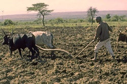 Région du sud du Rift ethiopien