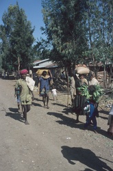 Oromo - le peuple